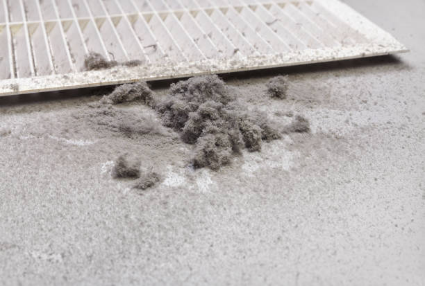 Professional Airduct Cleaning in Boyne City, MI