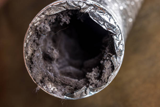 Best Commercial Air Duct Cleaning  in Boyne City, MI