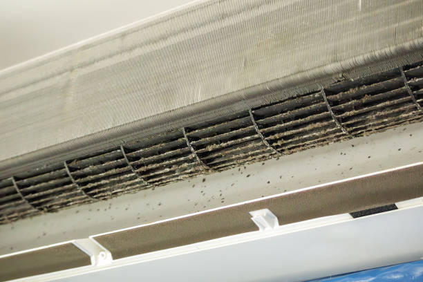 Best Professional Duct Cleaning Services  in Boyne City, MI